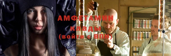 дмт Краснослободск