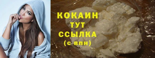 дмт Краснослободск