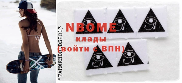 дмт Краснослободск