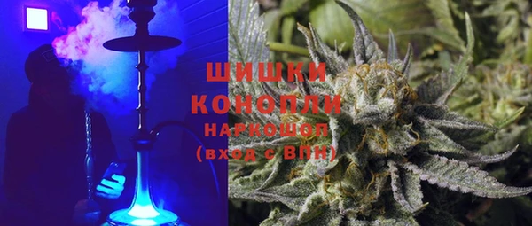дмт Краснослободск
