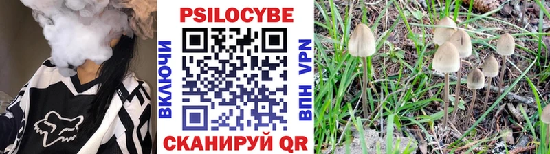 мега маркетплейс  Рыбное  Псилоцибиновые грибы ЛСД 